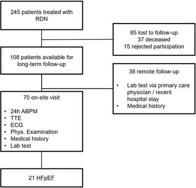 Left ventricular structure and function following renal sympathetic denervation in patients with HFpEF: an echocardiographic 9-year long-term follow-up